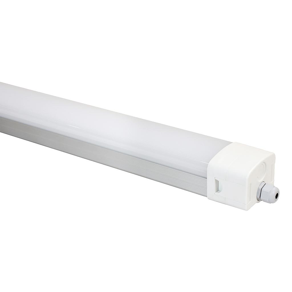 Zarix IP65, 120cm, Sensor, CCT